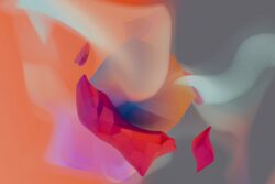 steve johnson n8E9ATDfSO4 unsplash