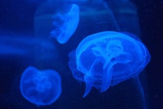 7 Subtle Signs You’re Misunderstanding Neurodivergent Needs